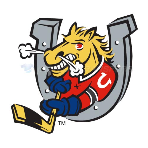 Barrie Colts Iron-on Stickers (Heat Transfers)NO.7310